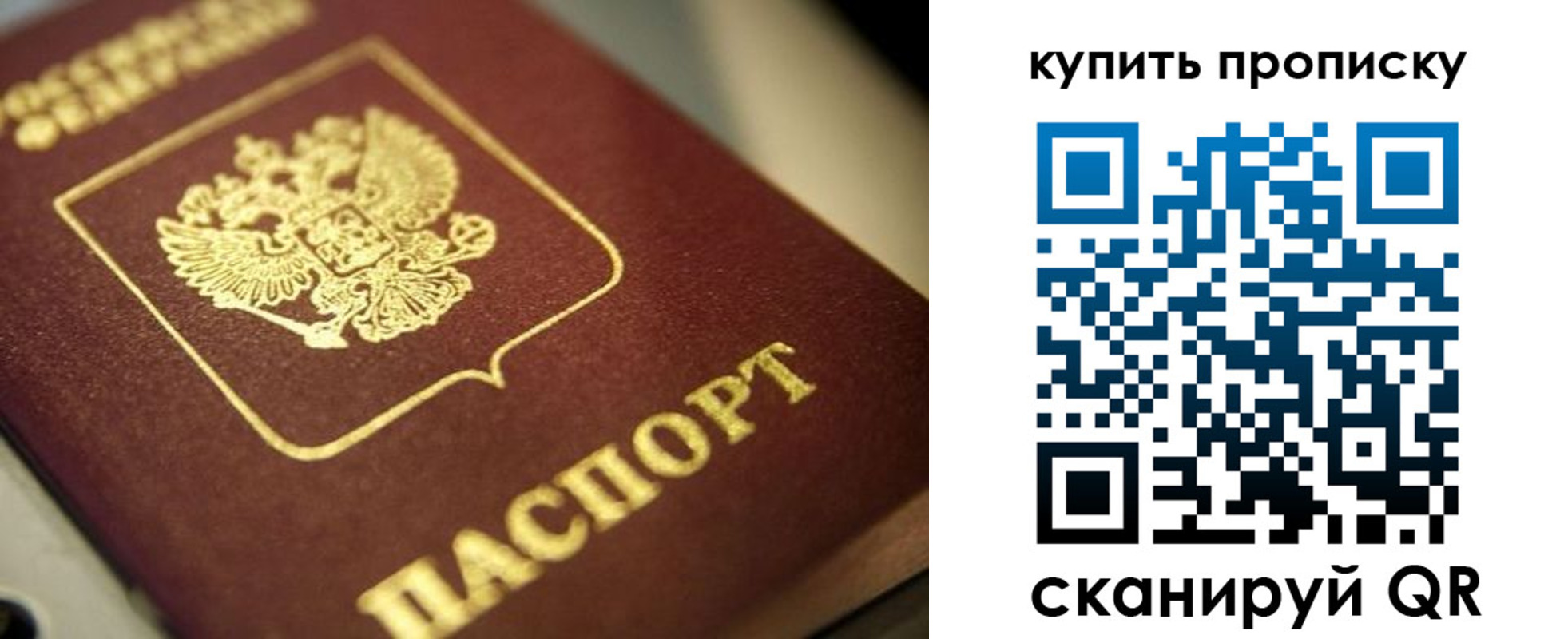 прописка поиск в Пионерском